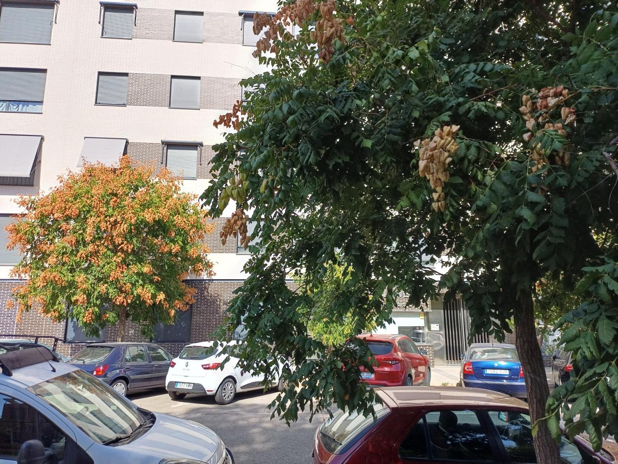 Estudios Nuevos Madrid Centro Экстерьер фото