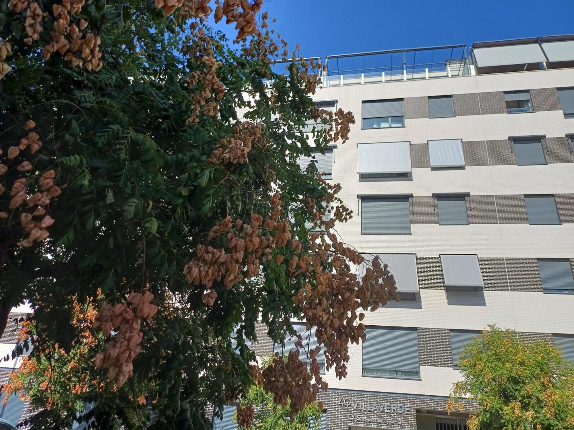 Estudios Nuevos Madrid Centro Экстерьер фото